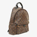 Louis Vuitton Palm Springs MM Monogram Backpack