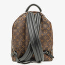 Louis Vuitton Palm Springs MM Monogram Backpack