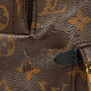 Louis Vuitton Palm Springs MM Monogram Backpack