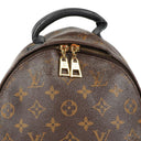 Louis Vuitton Palm Springs Reverse Monogram Backpack PM