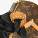 Louis Vuitton Papillon 30 Vintage Monogram Canvas Handbag
