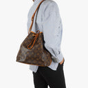 Louis Vuitton Petit Noe Monogram Canvas Shoulder Bag