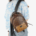 Louis Vuitton Reverse Monogram Canvas Palm Springs PM Backpack