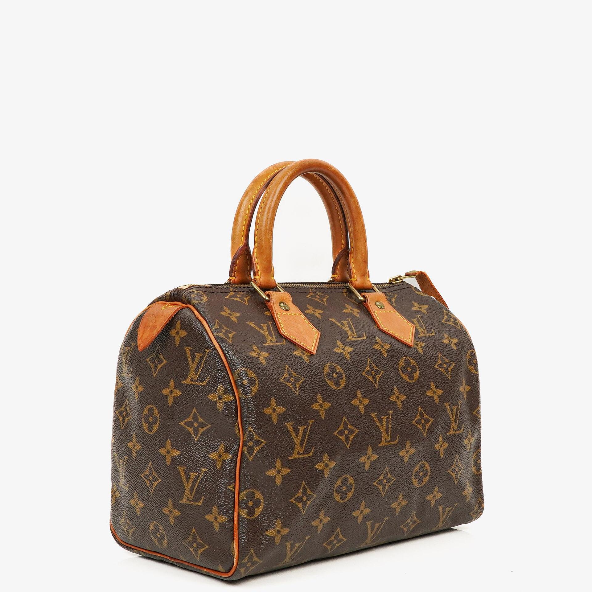 Louis Vuitton Speedy 25 Monogram Canvas Bag