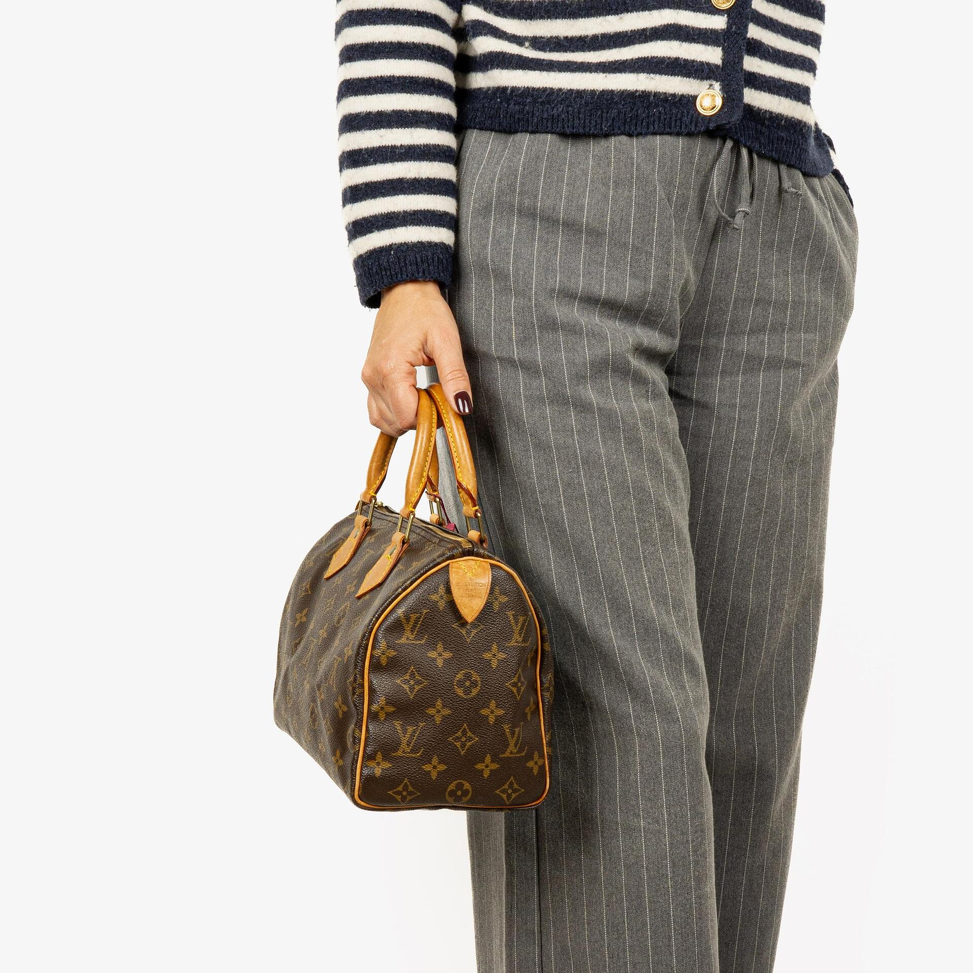 Louis Vuitton Speedy 25 Monogram Canvas Bag