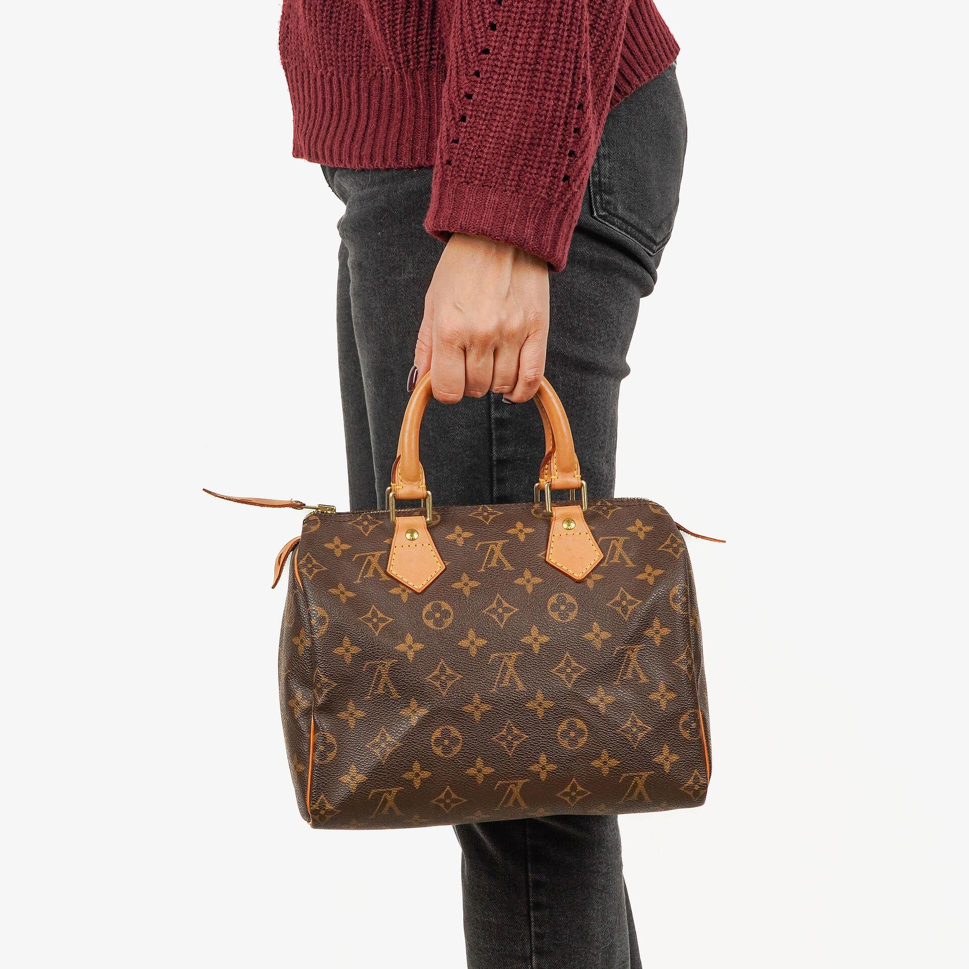 Louis Vuitton Speedy 25 Monogram Canvas Bag