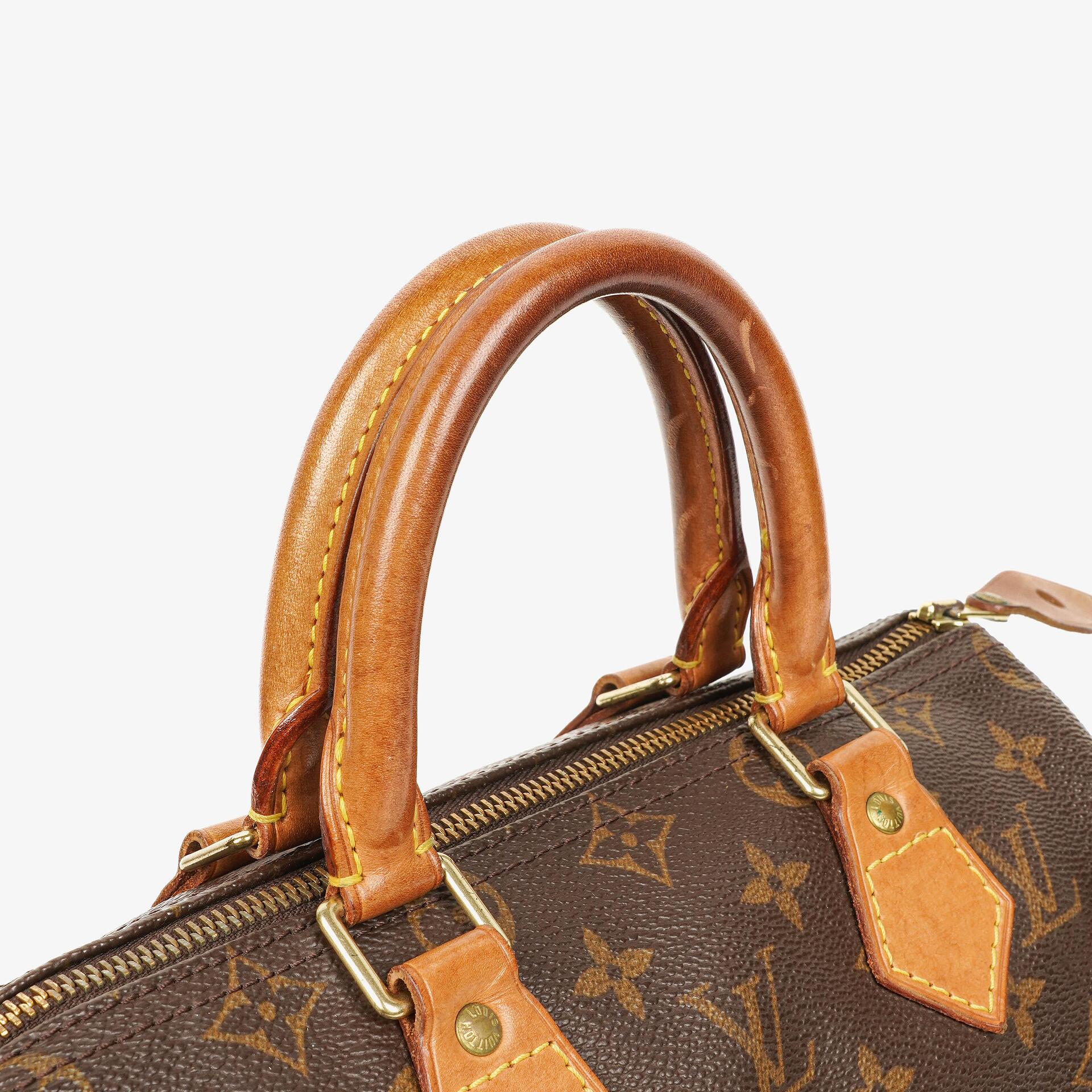 Louis Vuitton Speedy 25 Monogram Canvas Bag