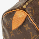 Louis Vuitton Speedy 25 Monogram Canvas Bag