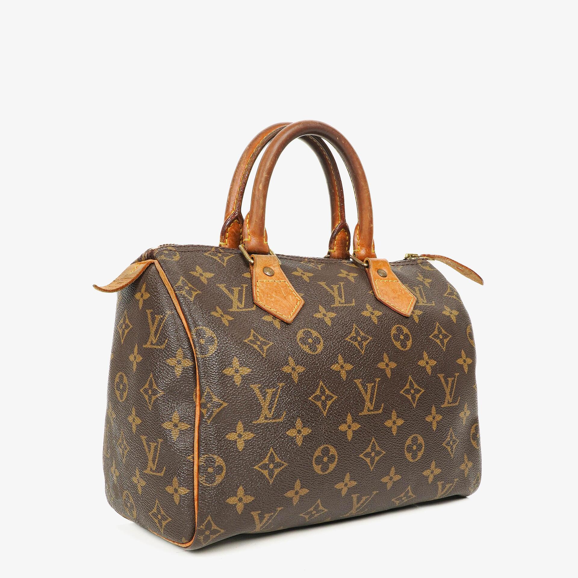Louis Vuitton Speedy 25 Monogram Canvas Bag