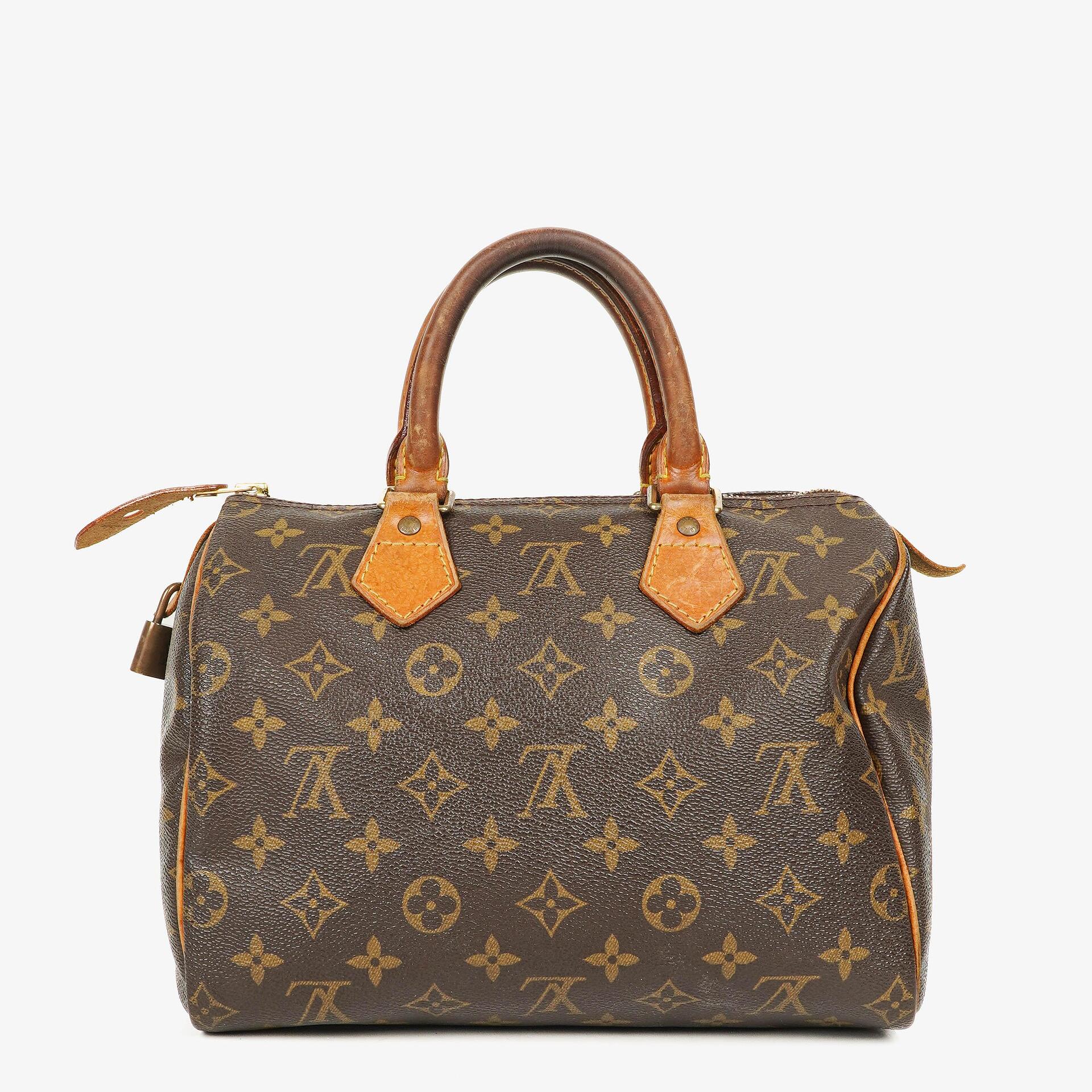 Louis Vuitton Speedy 25 Monogram Canvas Bag