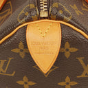 Louis Vuitton Speedy 25 Monogram Canvas Bag