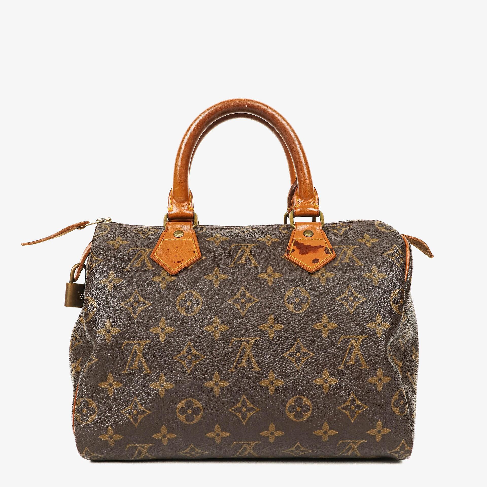 Louis Vuitton Speedy 25 Monogram Canvas Bag
