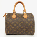 Louis Vuitton Speedy 25 Monogram Canvas Bag