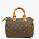 Louis Vuitton Speedy 25 Monogram Canvas Bag