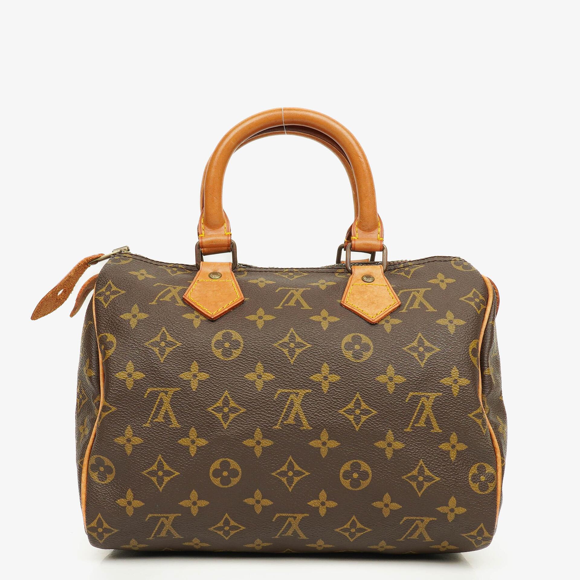 Louis Vuitton Speedy 25 Monogram Canvas Bag