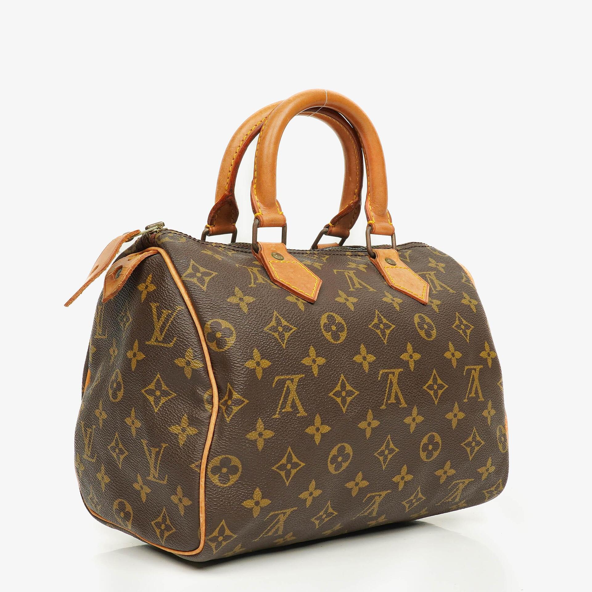 Louis Vuitton Speedy 25 Monogram Canvas Bag