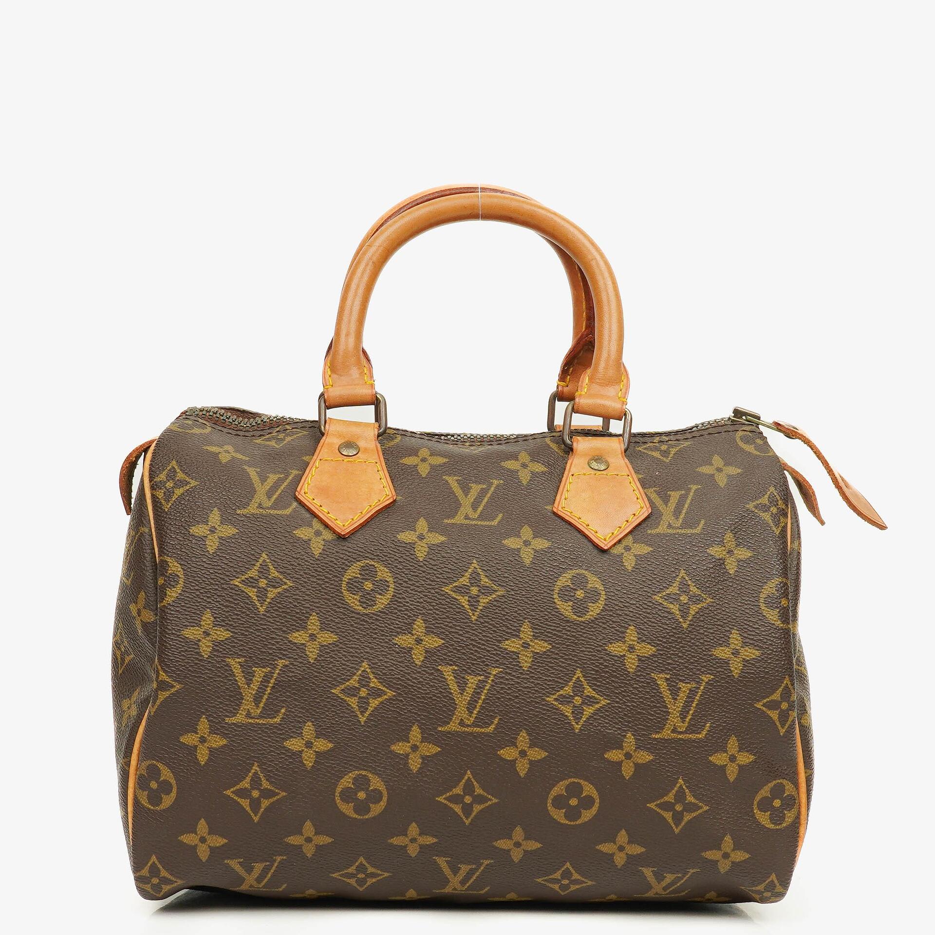 Louis Vuitton Speedy 25 Monogram Canvas Bag