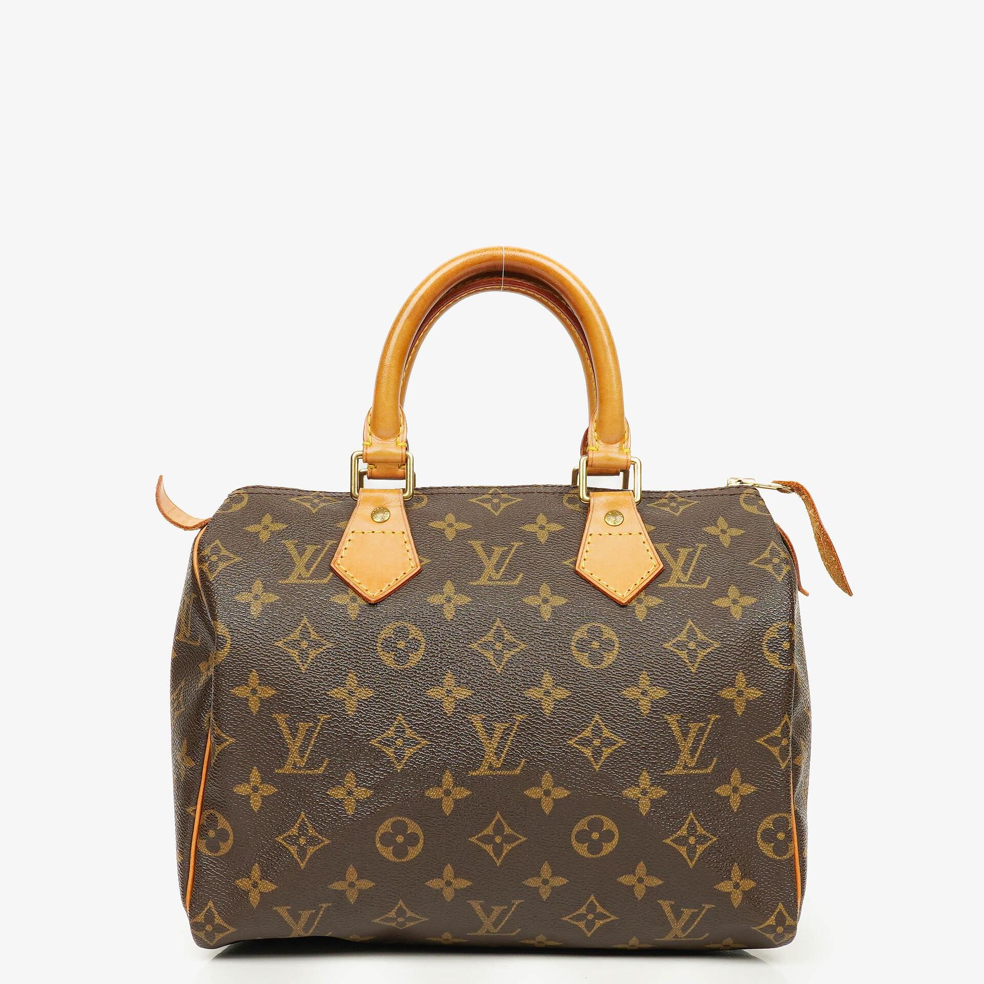 Louis Vuitton Speedy 25 Monogram Canvas Bag