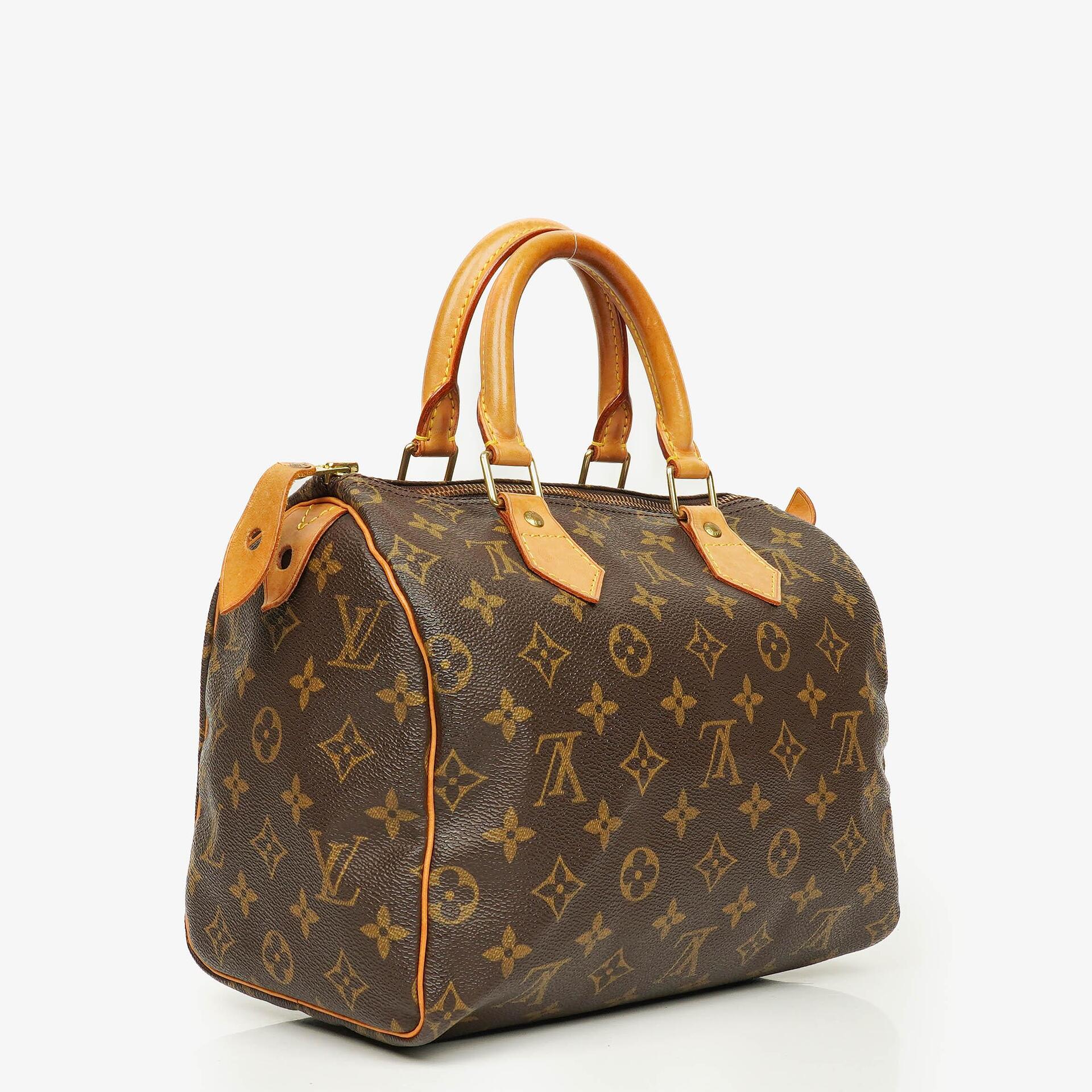Louis Vuitton Speedy 25 Monogram Canvas Bag