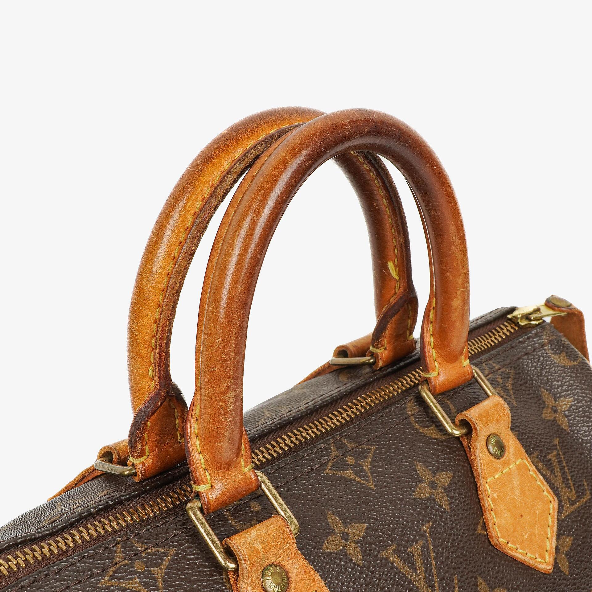 Louis Vuitton Speedy 25 Monogram Canvas Bag