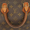 Louis Vuitton Speedy 25 Monogram Canvas Bag