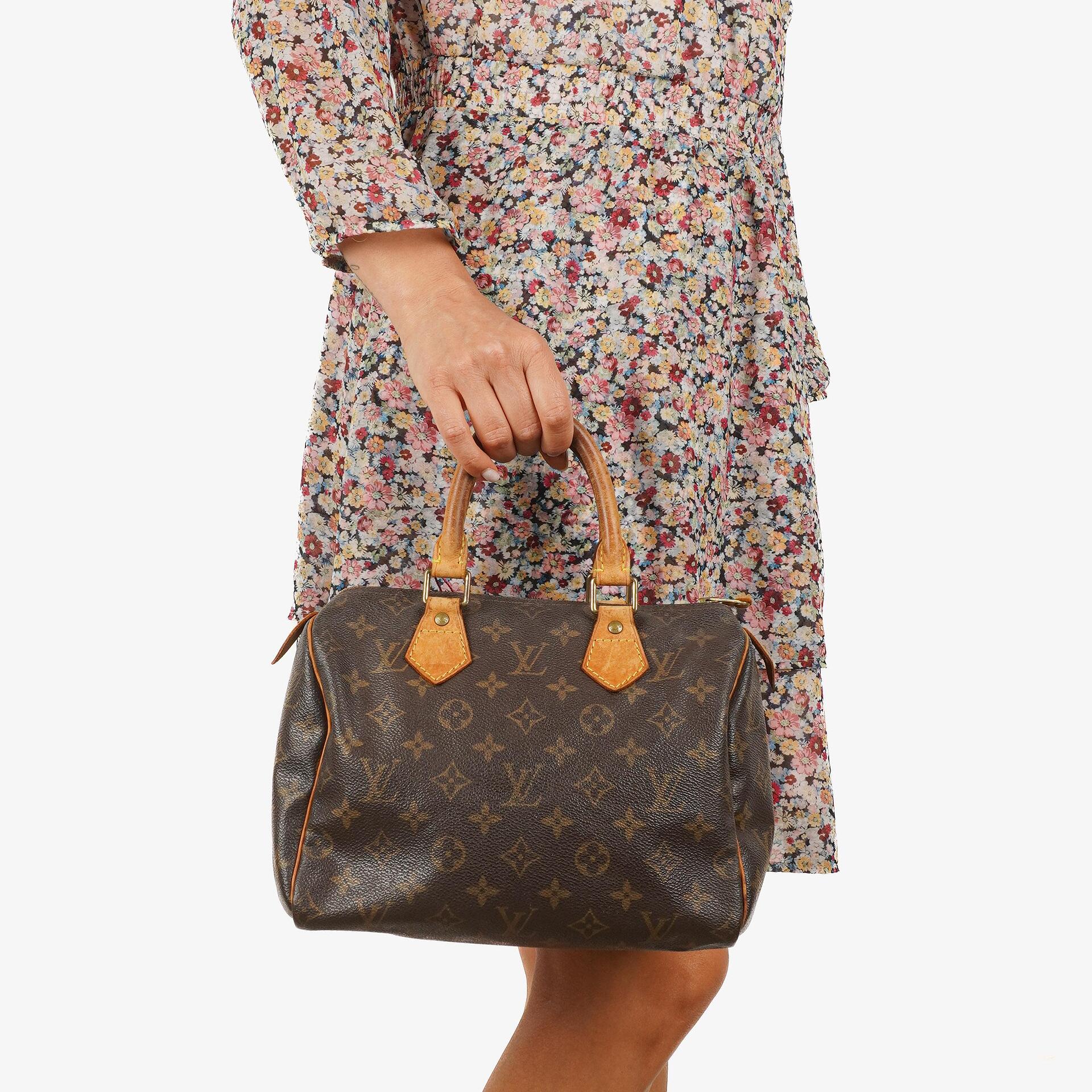 Louis Vuitton Speedy 25 Monogram Canvas Handbag