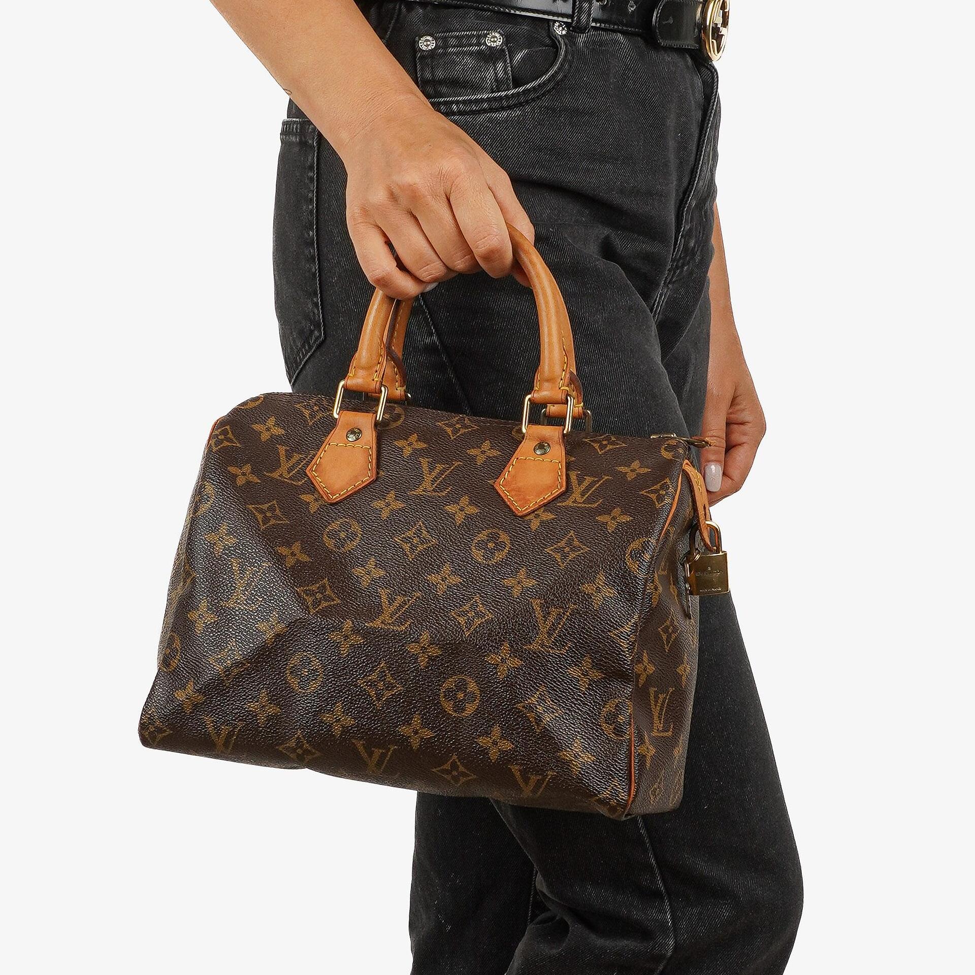Louis Vuitton Speedy 25 Monogram Canvas Handbag