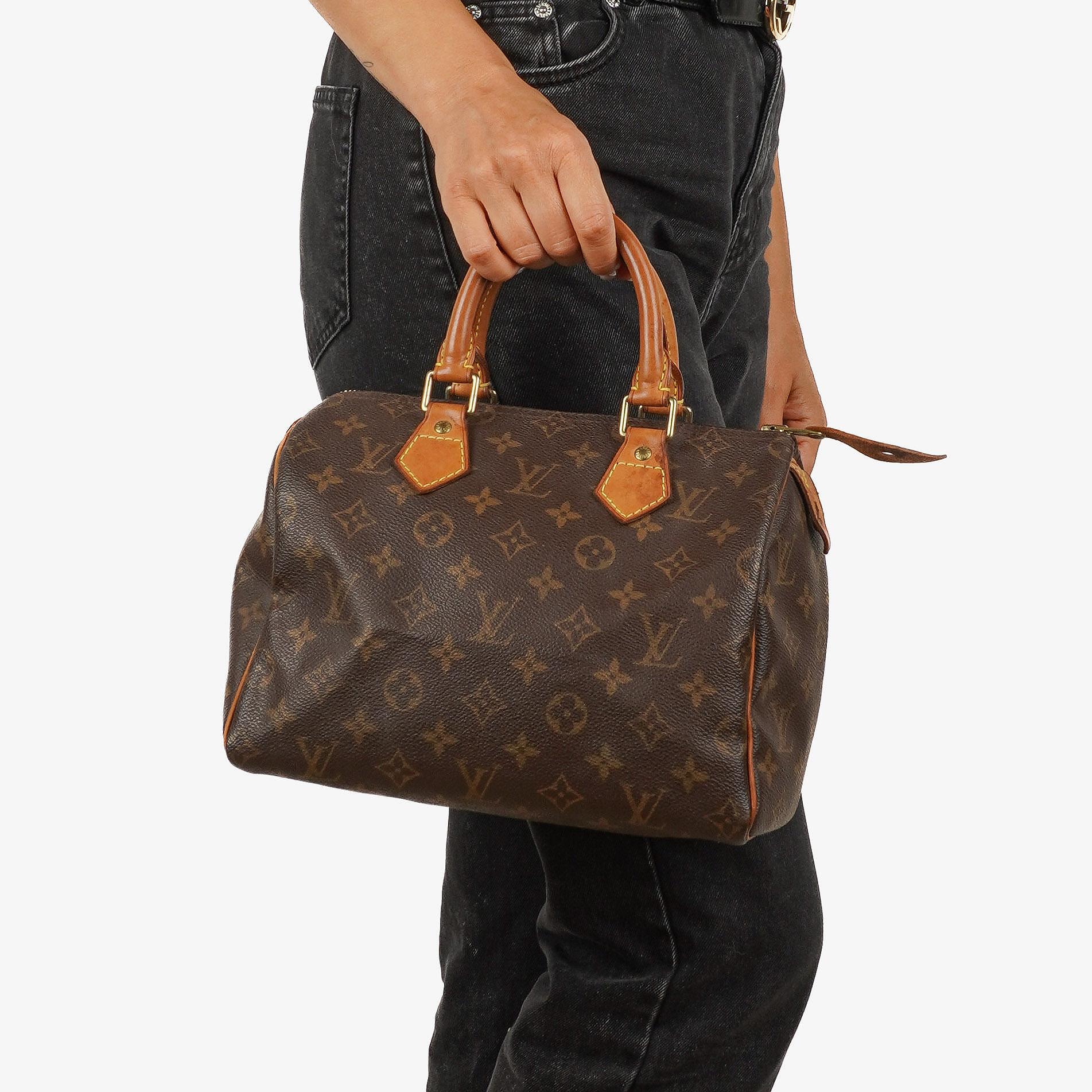 Louis Vuitton Speedy 25 Monogram Canvas Handbag