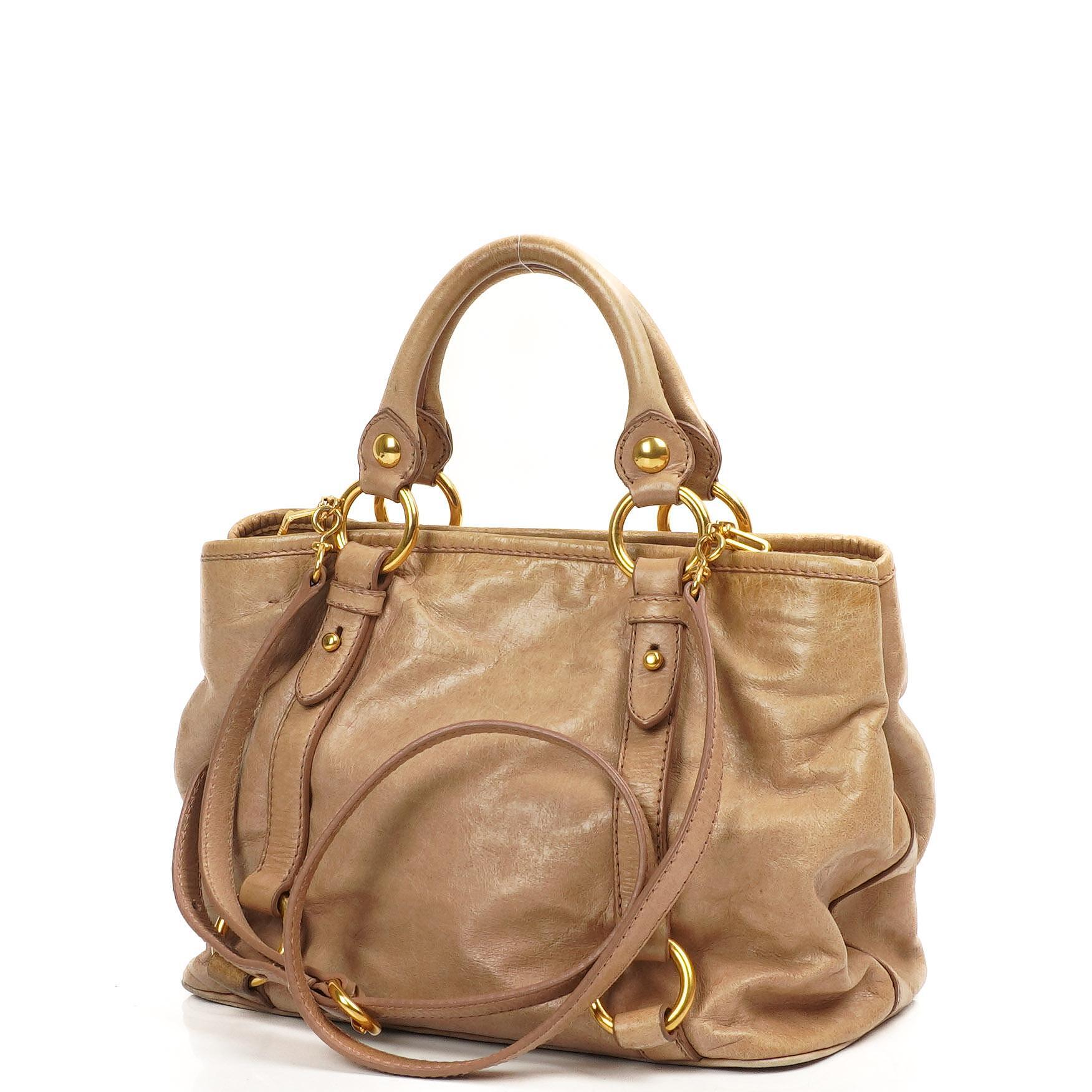 Miu Miu Vitello Shine Cammeo Tote Bag – PLAMEXS