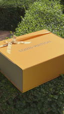Louis Vuitton Porte-Documents Voyage Solar Damier Infini Leather Briefcase